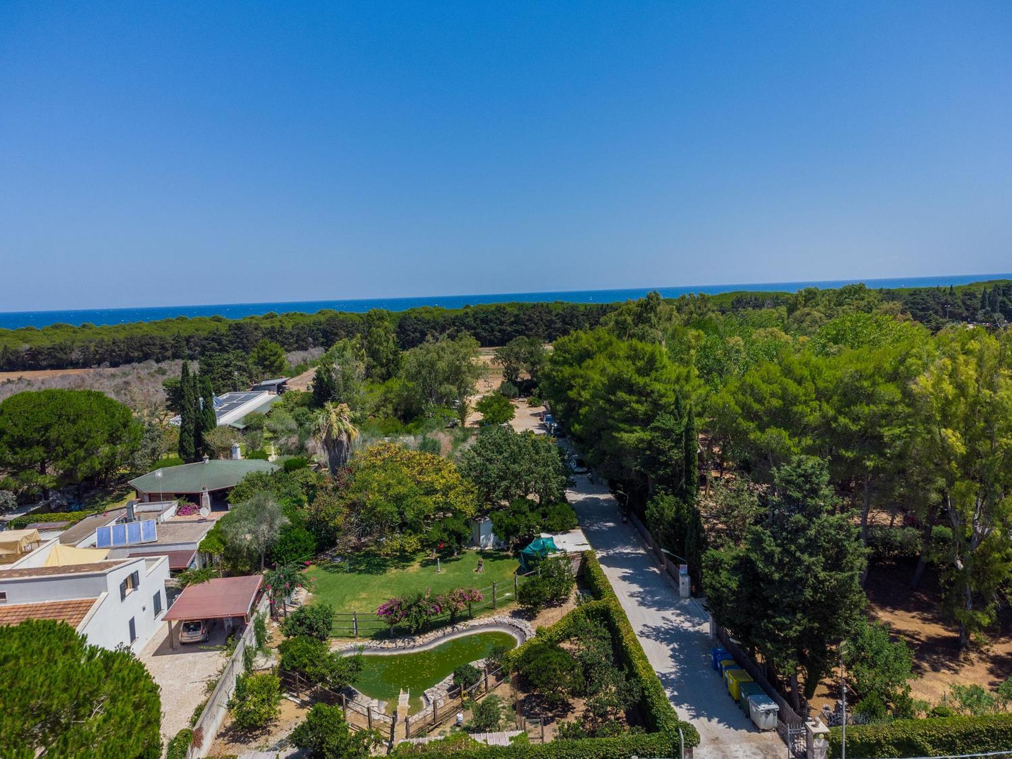 Bio Agriturismo Salos Alimini Ngoại thất bức ảnh