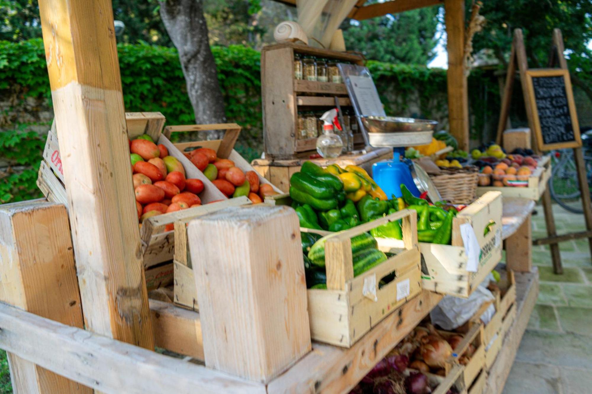 Bio Agriturismo Salos Alimini Ngoại thất bức ảnh