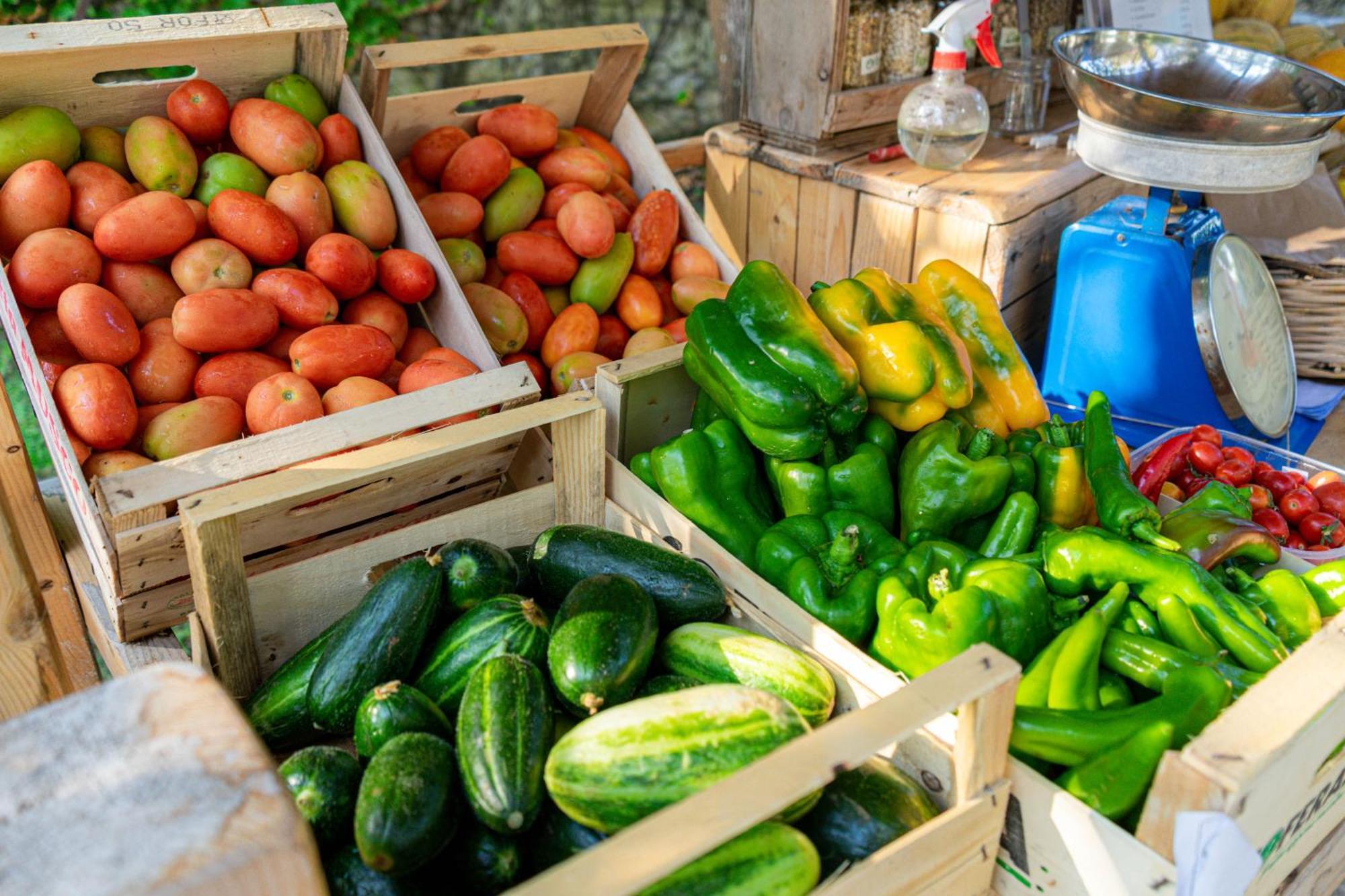 Bio Agriturismo Salos Alimini Ngoại thất bức ảnh