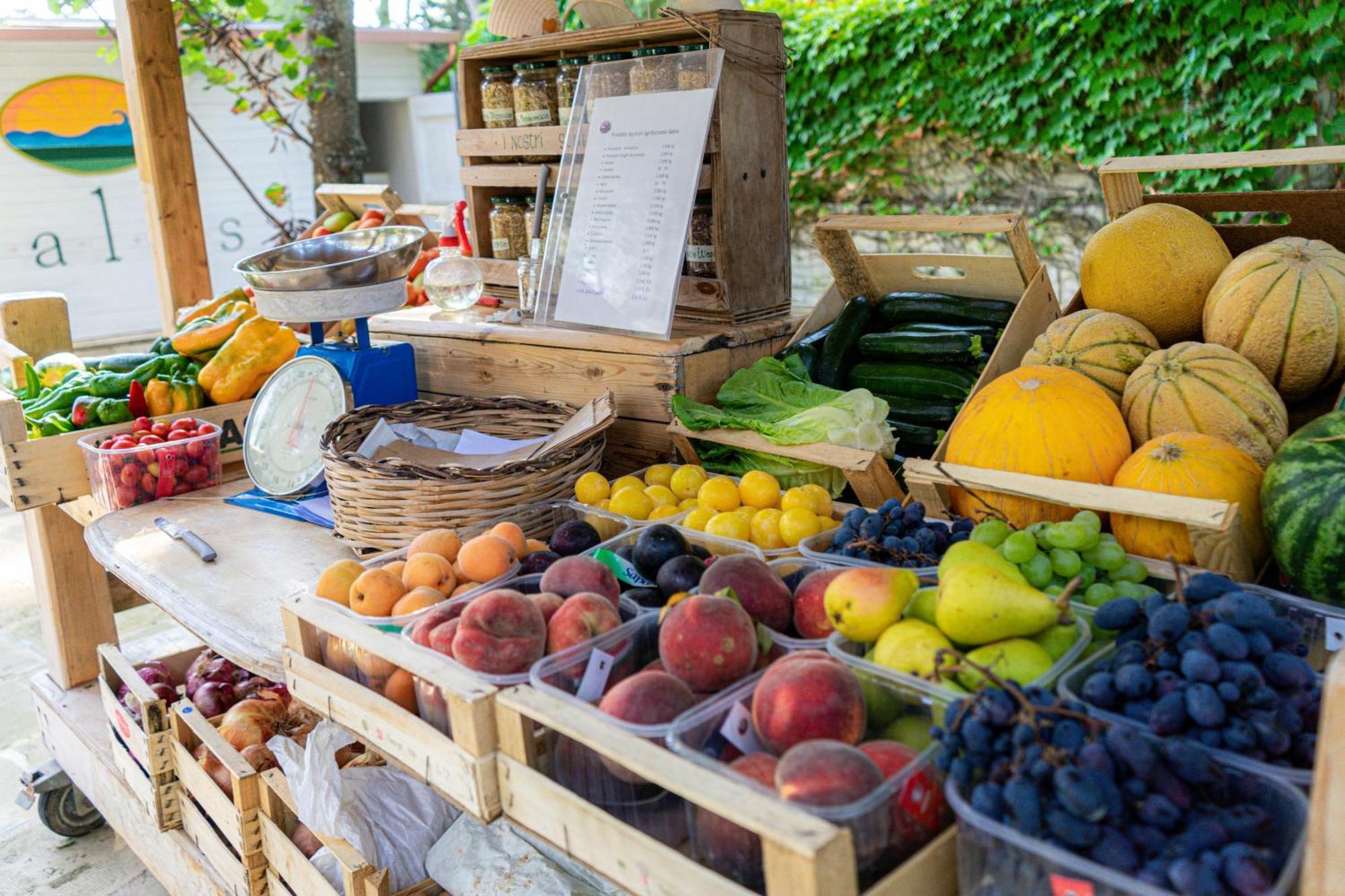 Bio Agriturismo Salos Alimini Ngoại thất bức ảnh