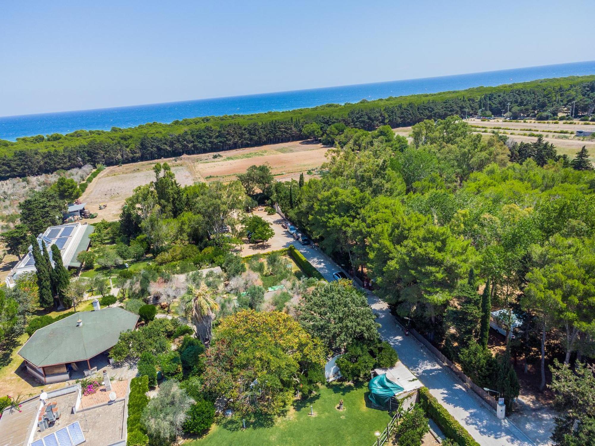 Bio Agriturismo Salos Alimini Ngoại thất bức ảnh
