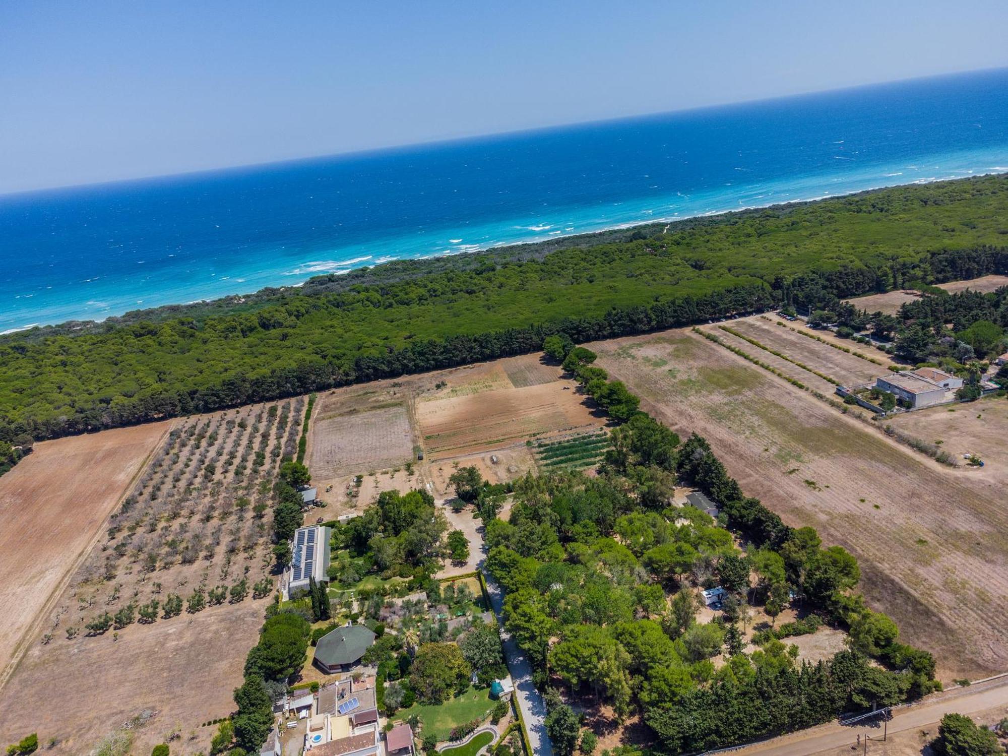 Bio Agriturismo Salos Alimini Ngoại thất bức ảnh